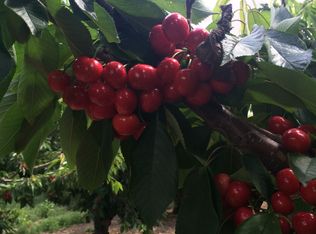 12004 Valpredo Rd, Bakersfield, CA 93313