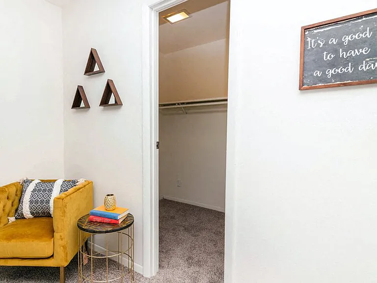Large Walk-In Closets