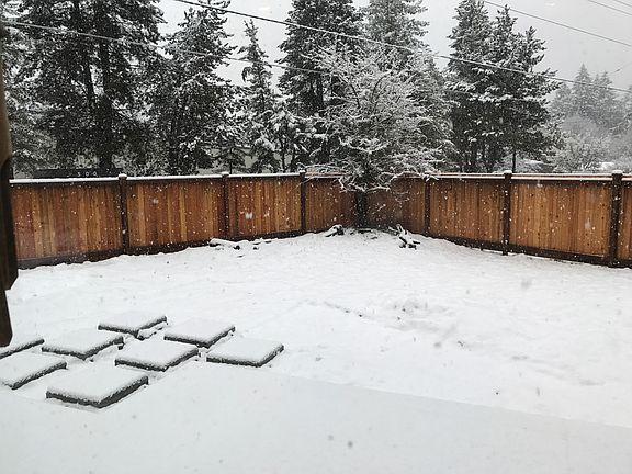 New fence in winter