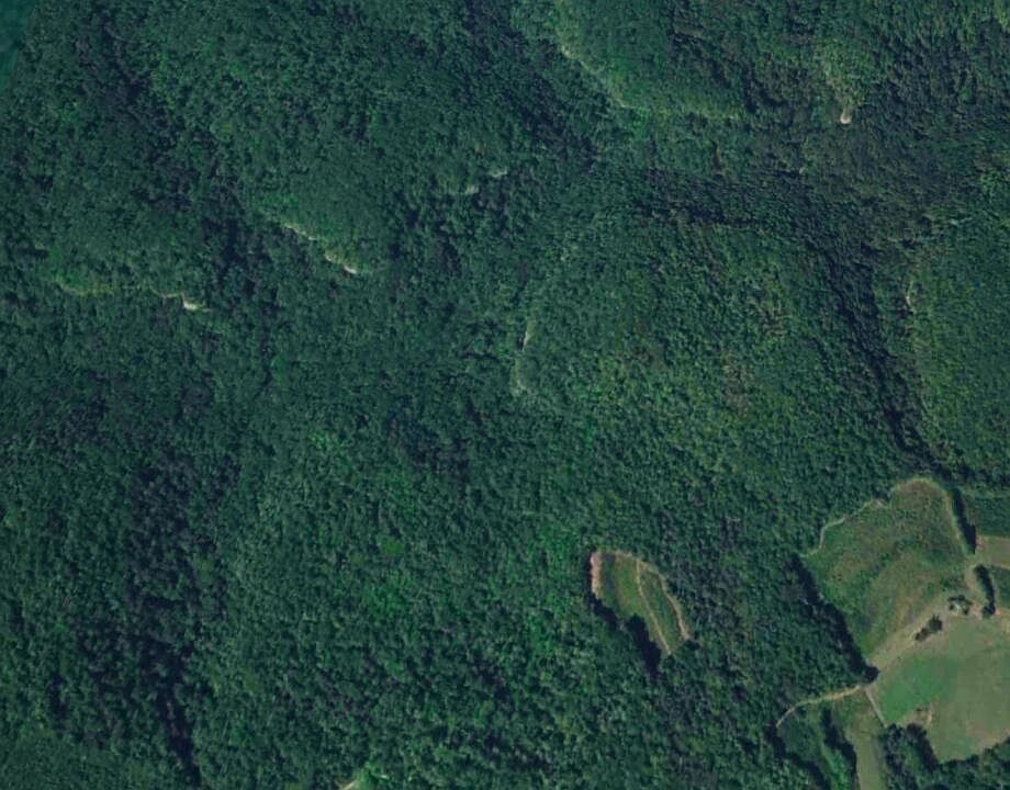 1st image of Whites Branch Rd