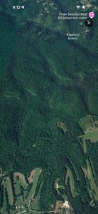 Whites Branch Rd, Wellington, KY, 40387