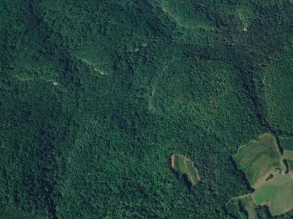 Whites Branch Rd, Wellington, KY 40387
