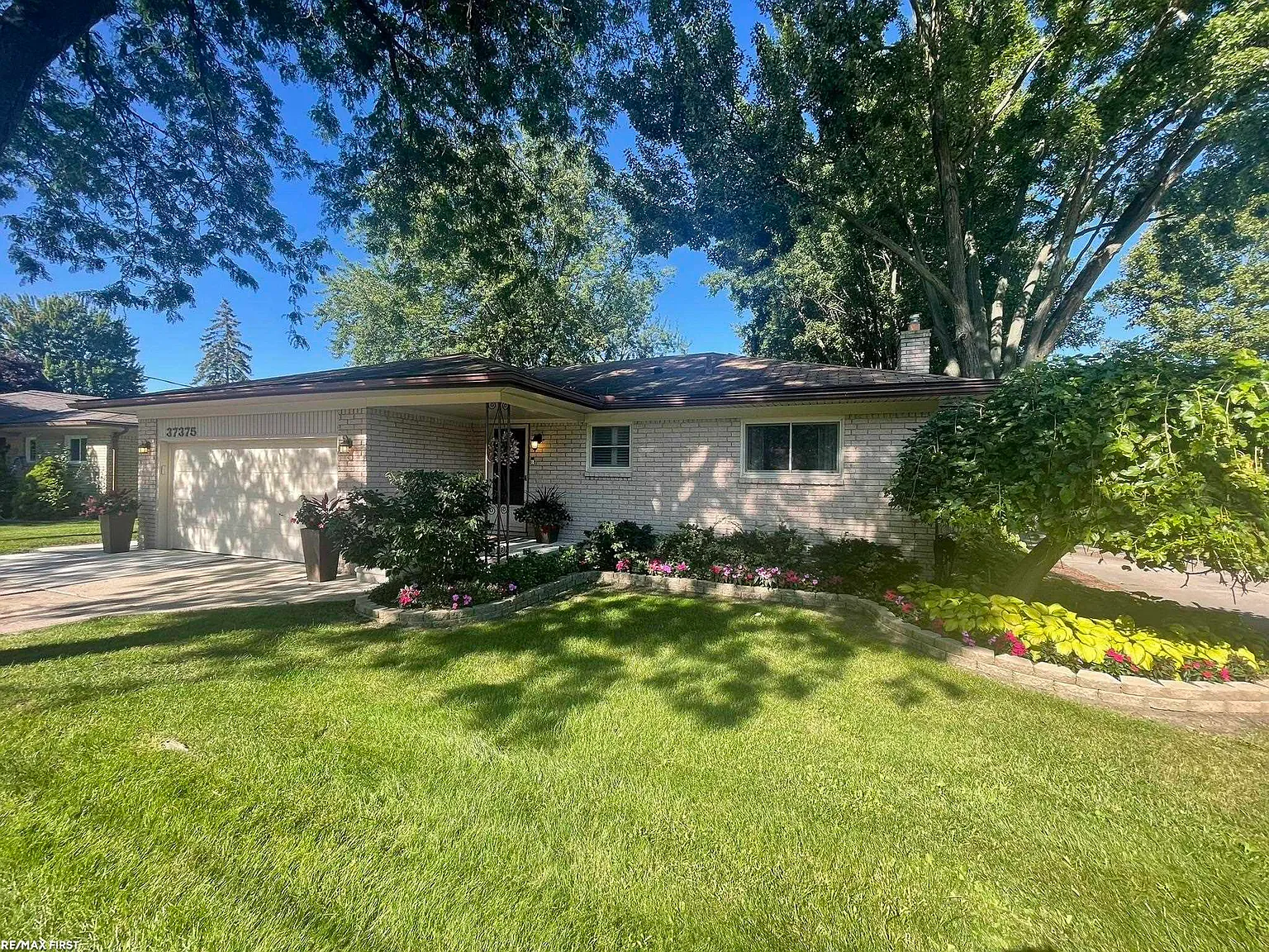 37375 Dundee St photo 1
