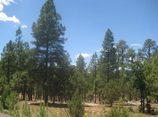 5501 Datil Cir, Happy Jack, AZ 86024