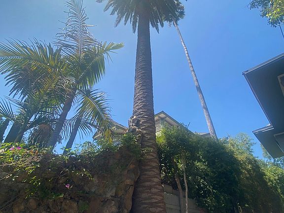 4th image of 2115 Estrella Ave