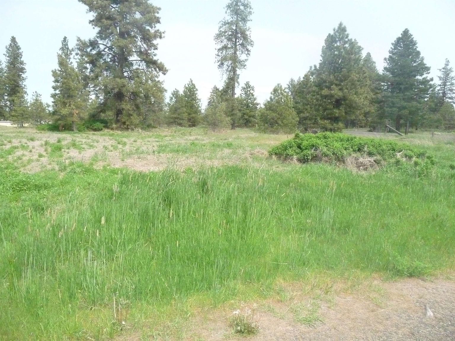 16212 W Lance Hill Rd, Cheney, WA 99004 Zillow