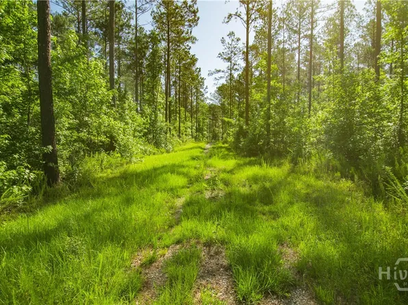 0 Weaver Jones Road, Rutledge, GA 30663