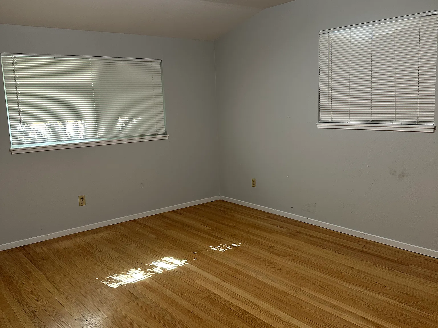 3 bed, 1541 sqft, $2,900 — Photo 4