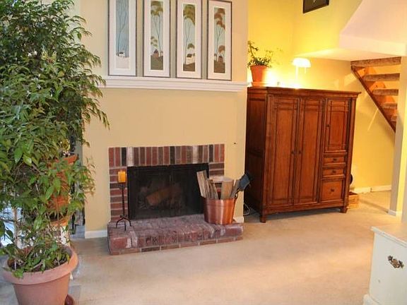 Wood-burning fireplace