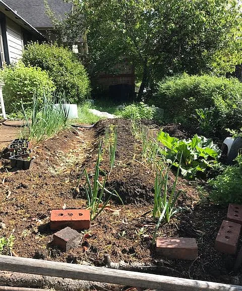 2075 Harris St — Photo 14