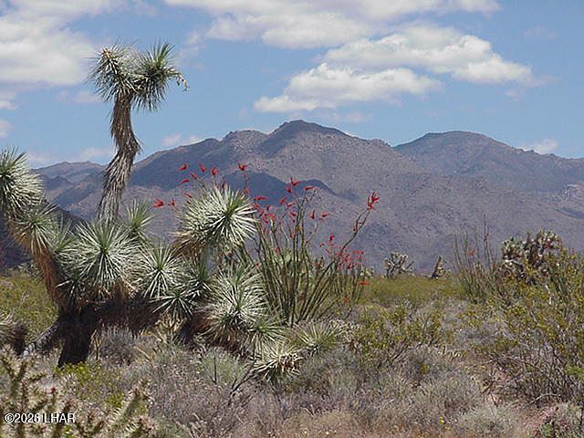 1st image of 242-03 S Sundance Kid Rd #5