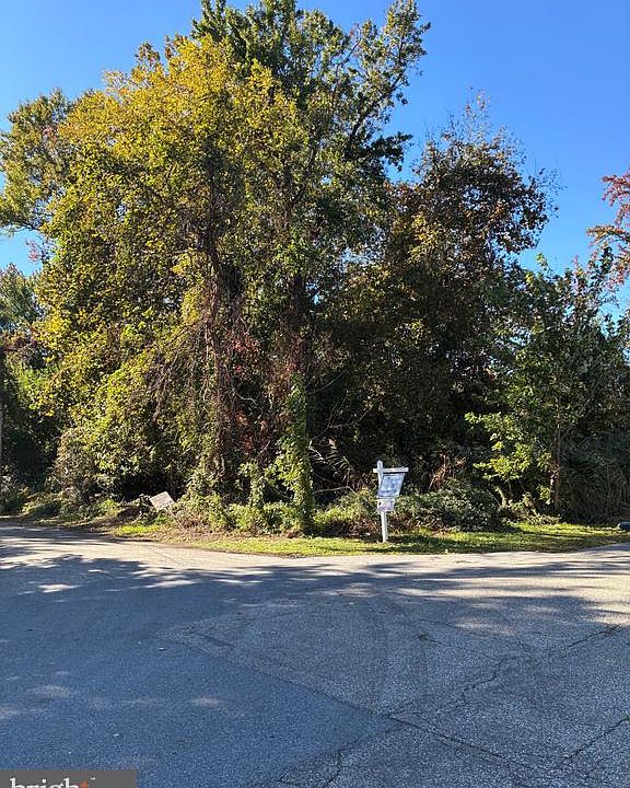 1st image of Bush Ave