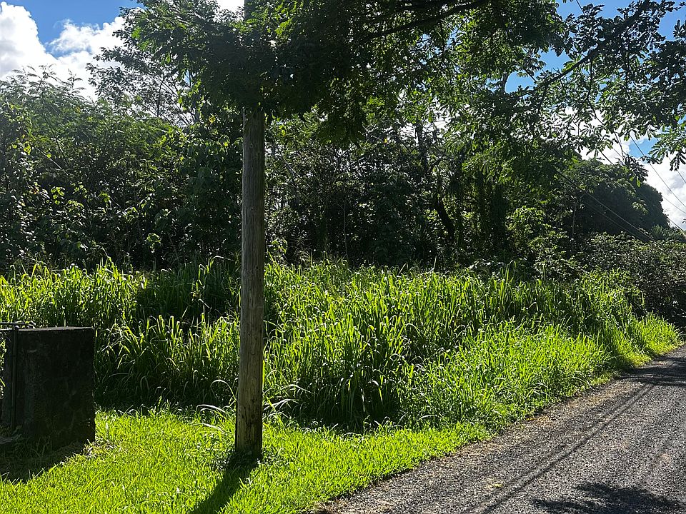 2nd image of 13th Ave Lot 530