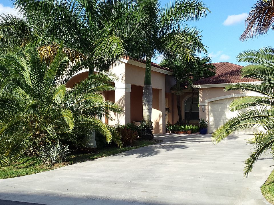 Front yard full of palms .