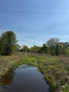 185 Scott Orchard Rd, Taft, TN, 38488