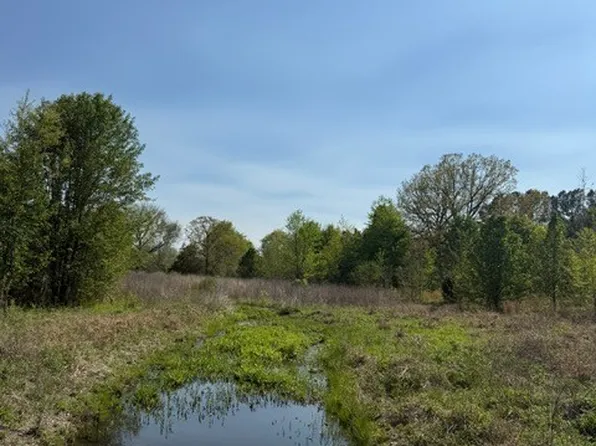 185 Scott Orchard Rd Lot 1-3, Taft, TN 38488