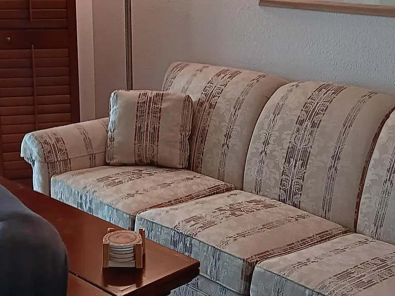 Den with Hide a bed sofa