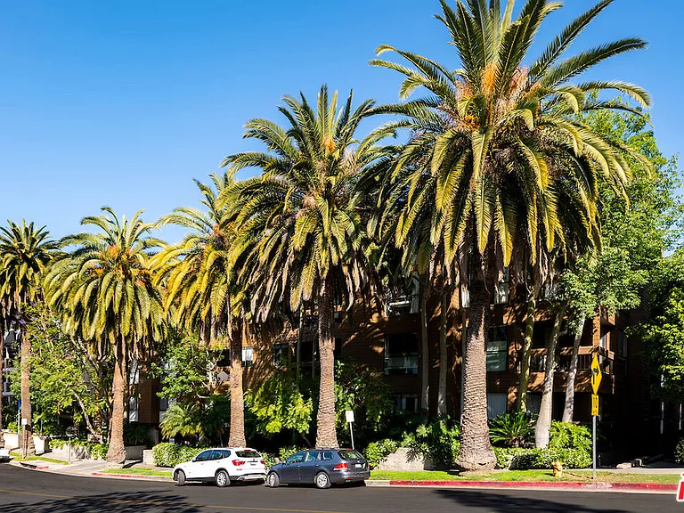 11628 Montana Ave #206 — Photo 4