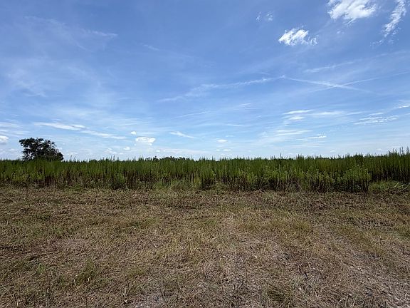 3rd image of TRACT 2 Old Stockton Rd
