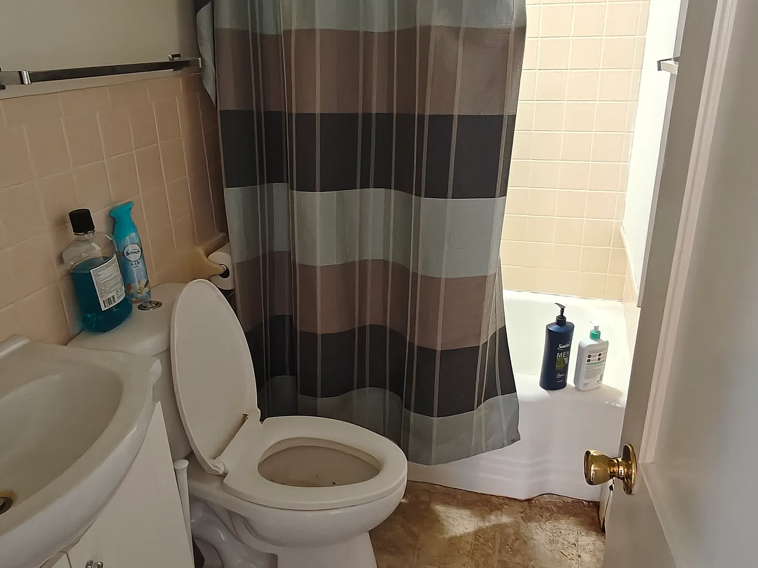 1 bed, $810 — Photo 2