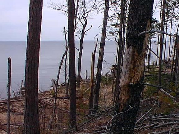 2nd image of County Road 412