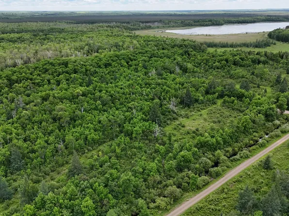 11840 Rice Haven Rd, Floodwood, MN 55736
