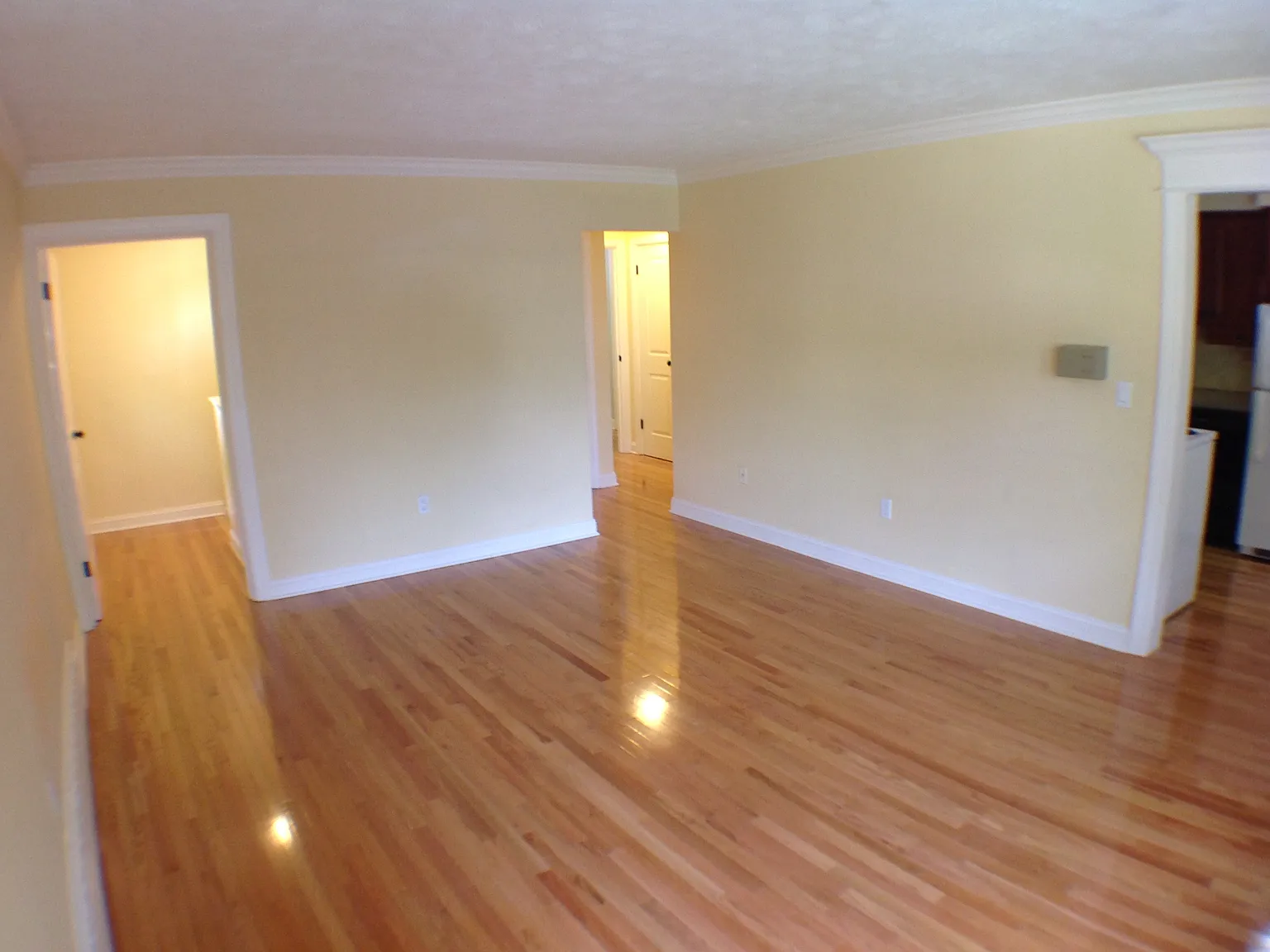 1 bed, 775 sqft, $1,475 — Photo 2