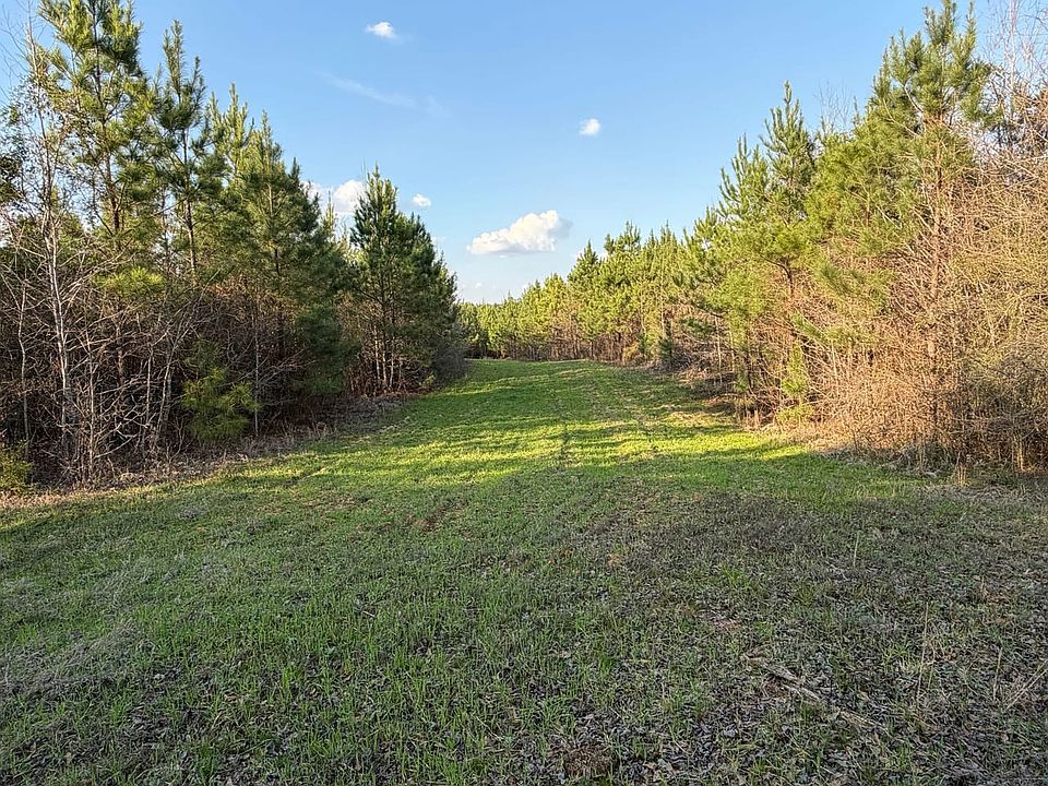 Img 2065