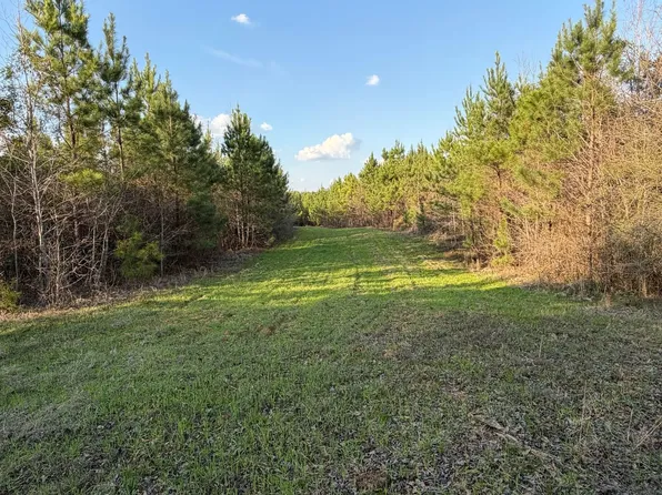 County Road 154, Marion, AL 36756