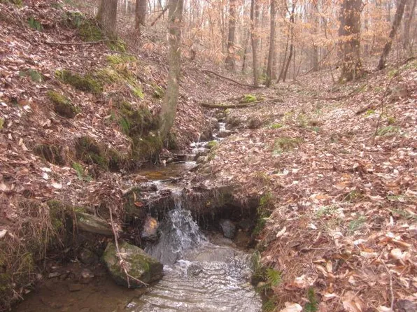 0 Jones Mountain Rd, Talking Rock, GA 30175