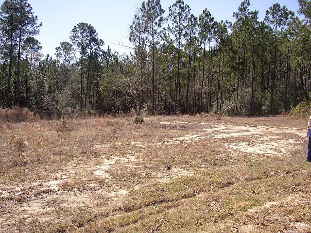 2nd image of 68 Farmer Rd