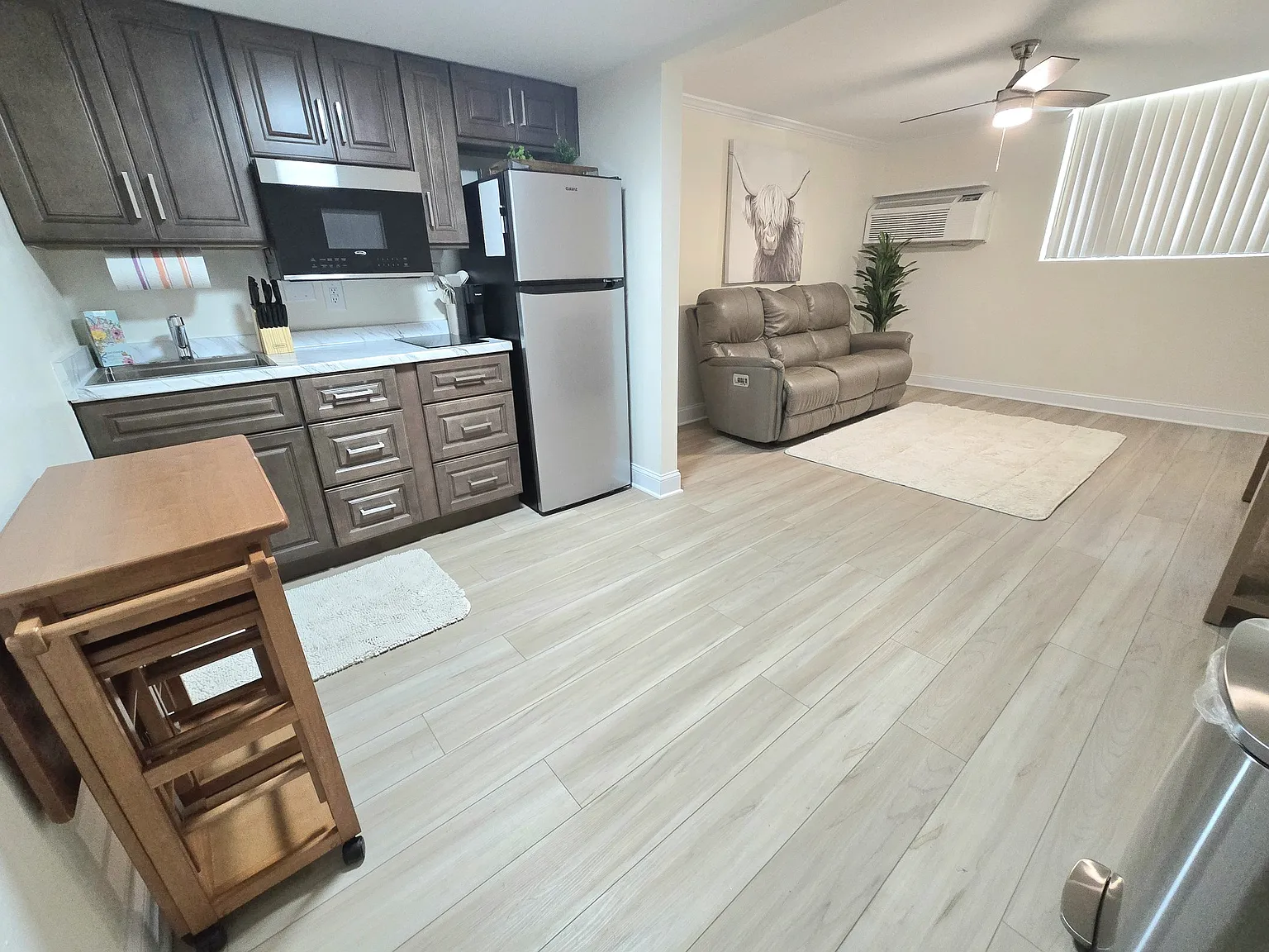 1 bed, 550 sqft, $1,450 — Photo 4