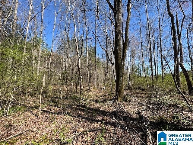 1st image of 26205 Highway 77 Tract