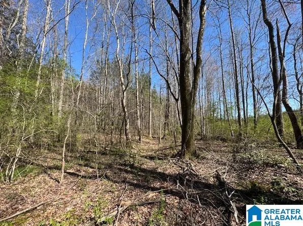 26205 Highway 77 Tract, Wadley, AL 36276