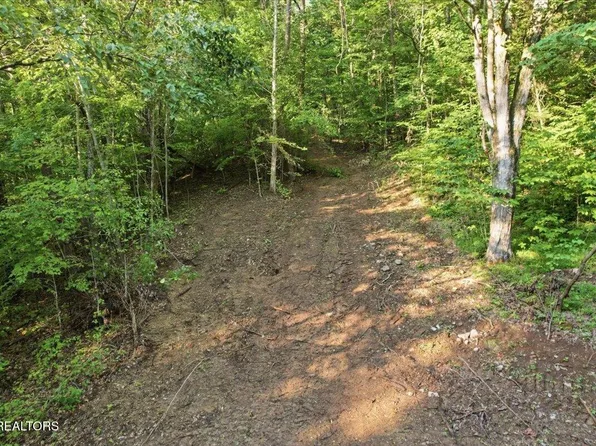Tower Rd, Tazewell, TN 37879