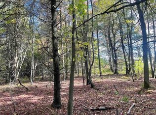 0 Vista Hl, Dansville, NY 14437