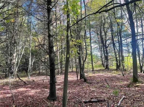 0 Vista Hl, Dansville, NY 14437