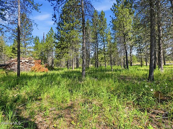3rd image of 43XX W Flatwoods Loop