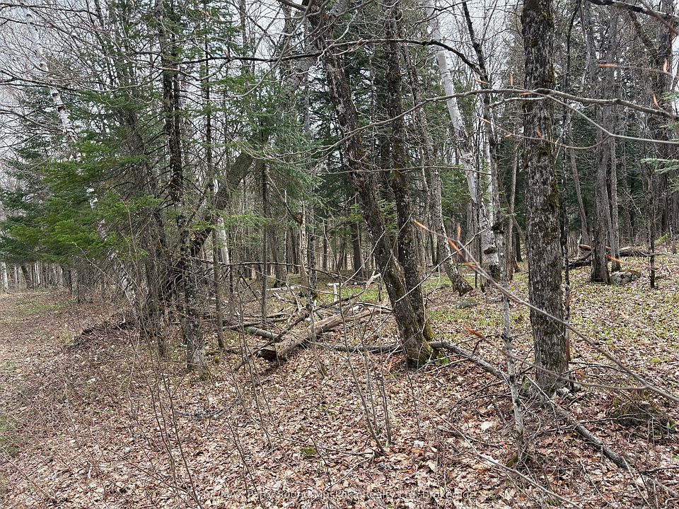 1st image of 0 Ahmic Lake Rd