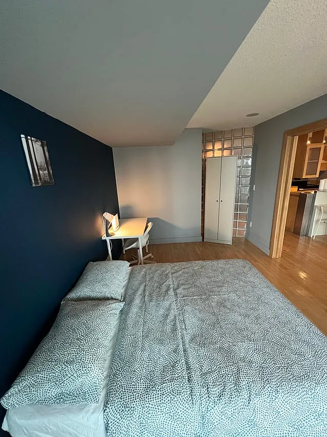 Deluxe Room - Front St W & Spadina Ave — Photo 3