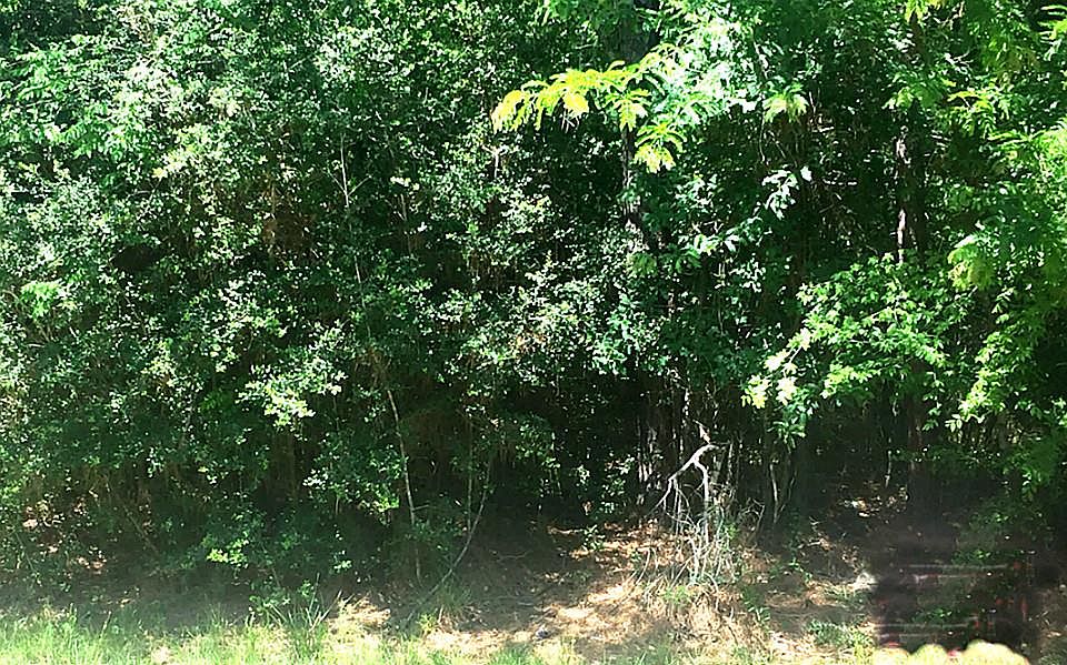 1st image of 22803 Acacia Dr