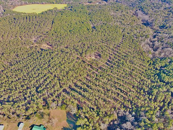 Photo Jan 16 2026 3 00 37 Pm