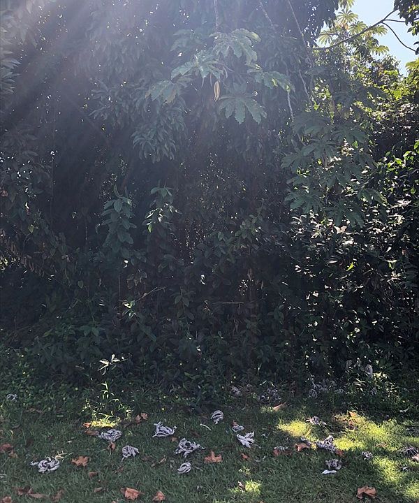 2nd image of 15-2805 S Oio St Lot 1509