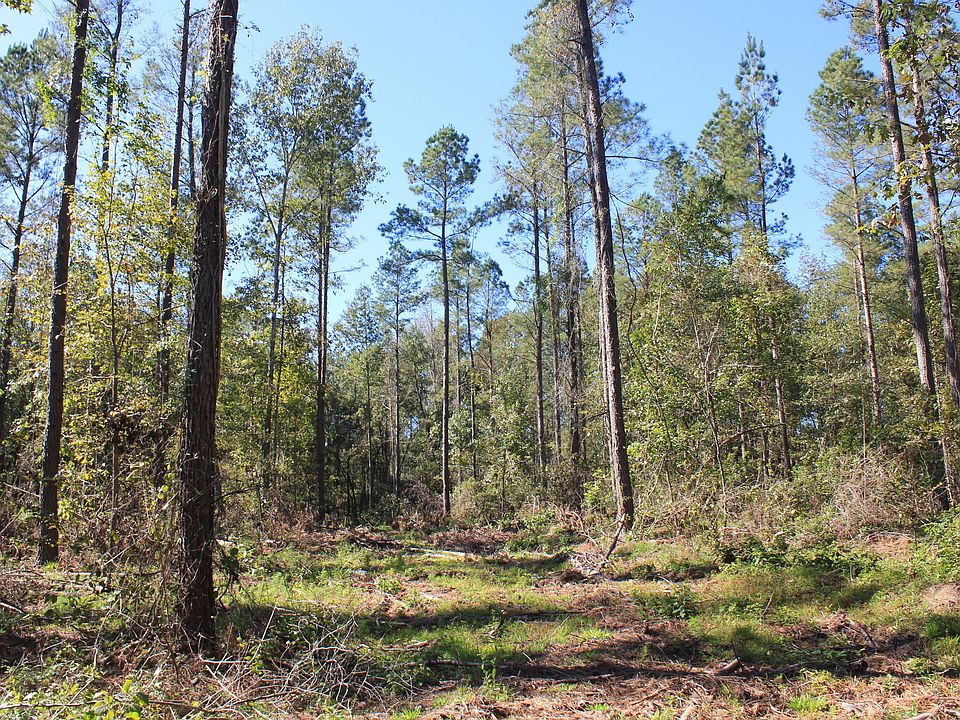 0 Calamus Pond Rd, Summerville, SC 29486 MLS 21000666 Zillow
