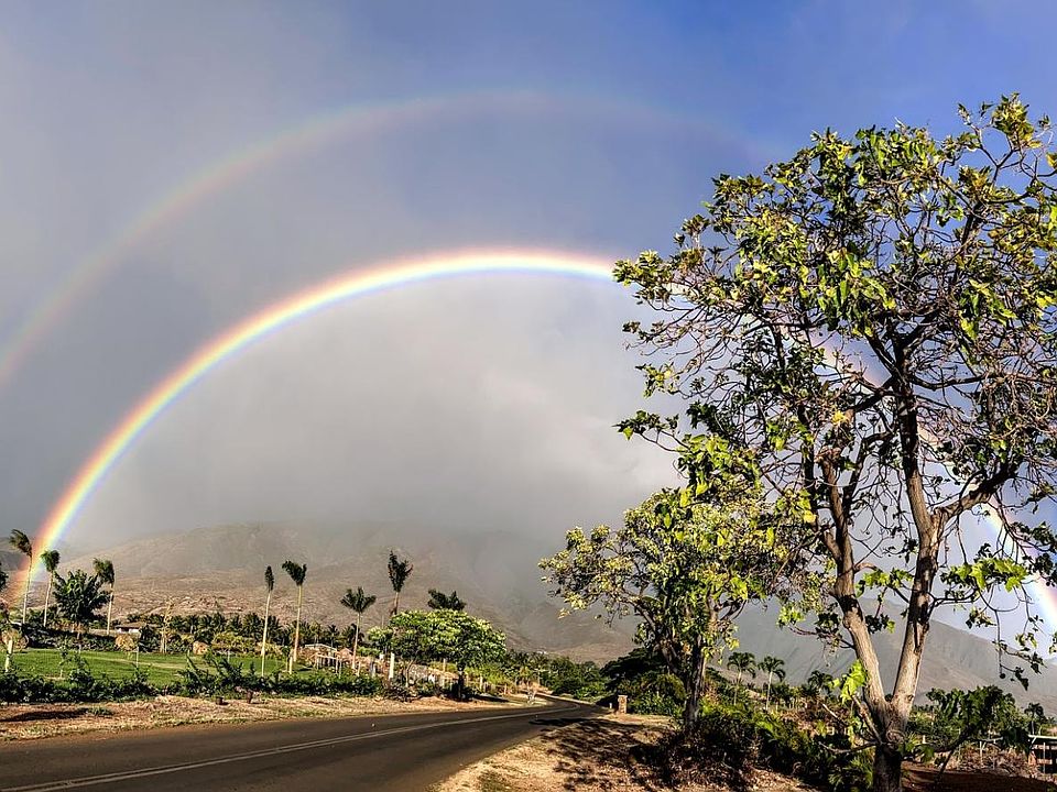 Entrance to property