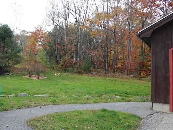 Big Back Yard