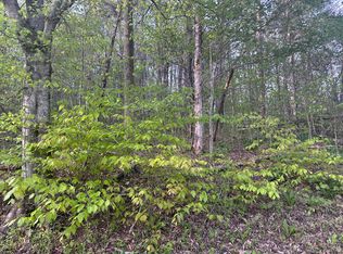 0 Lower River Rd, Livingston, KY 40445