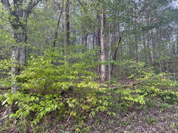 0 Lower River Rd, Livingston, KY 40445