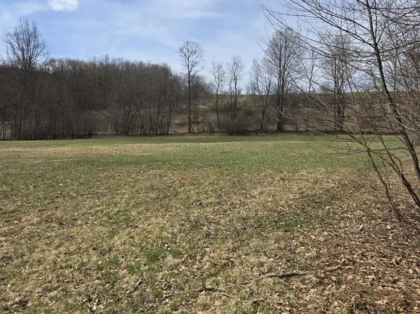 0 Cupps Run Rd, Terra Alta, WV 26764