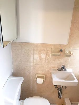 Rented by Rapid Realty Cobble Hill | media 22